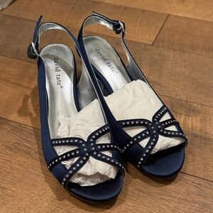 David Tate Navy Blue Heels with Silver Accents